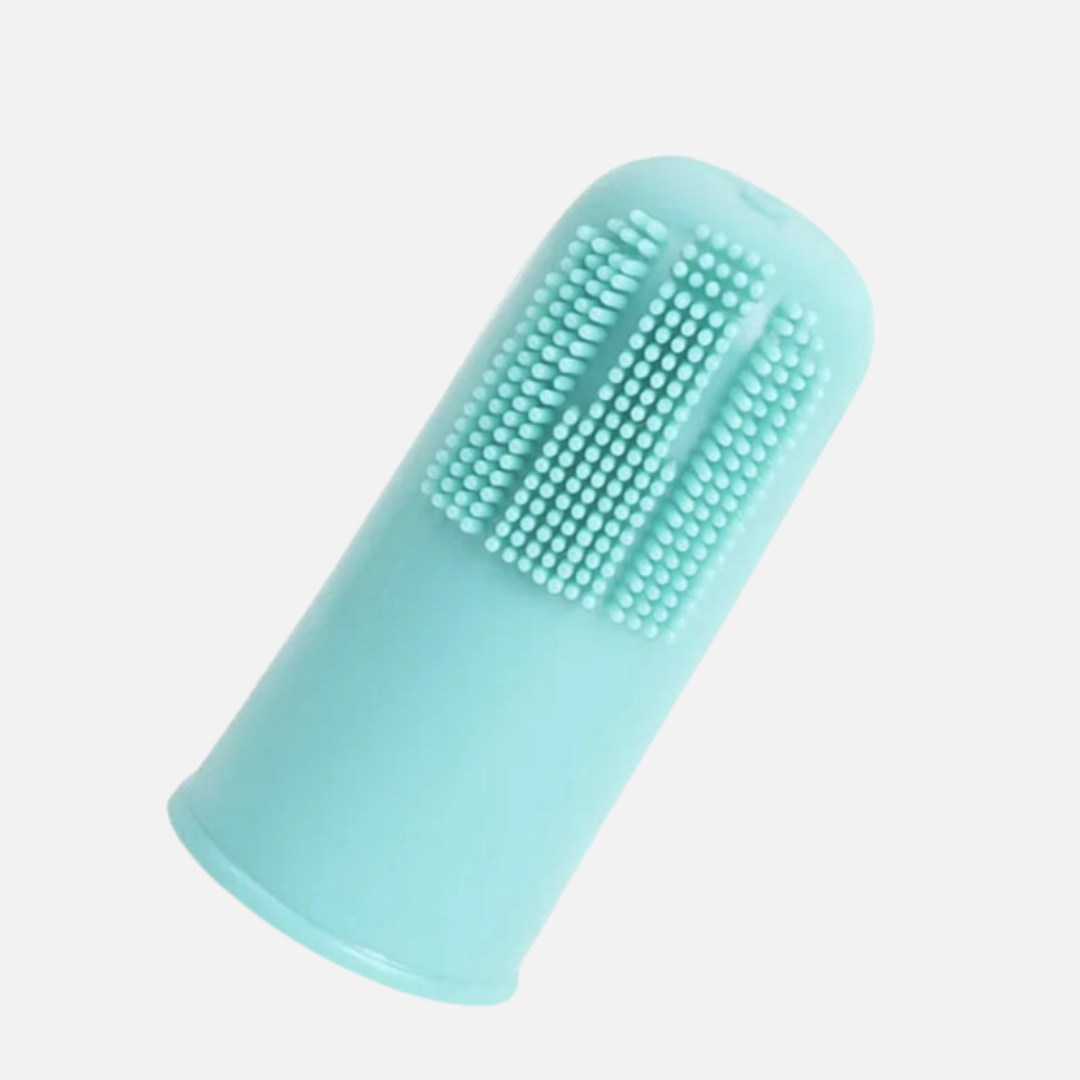 Brosse à dent pour chien