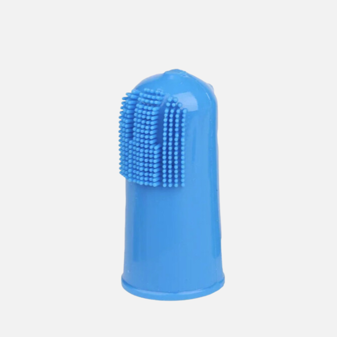 Brosse à dent pour chien