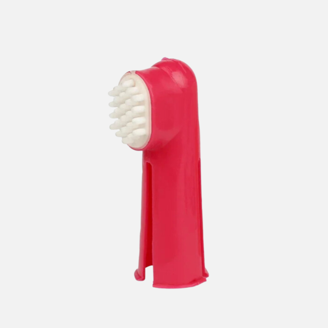 Brosse à dent pour chien