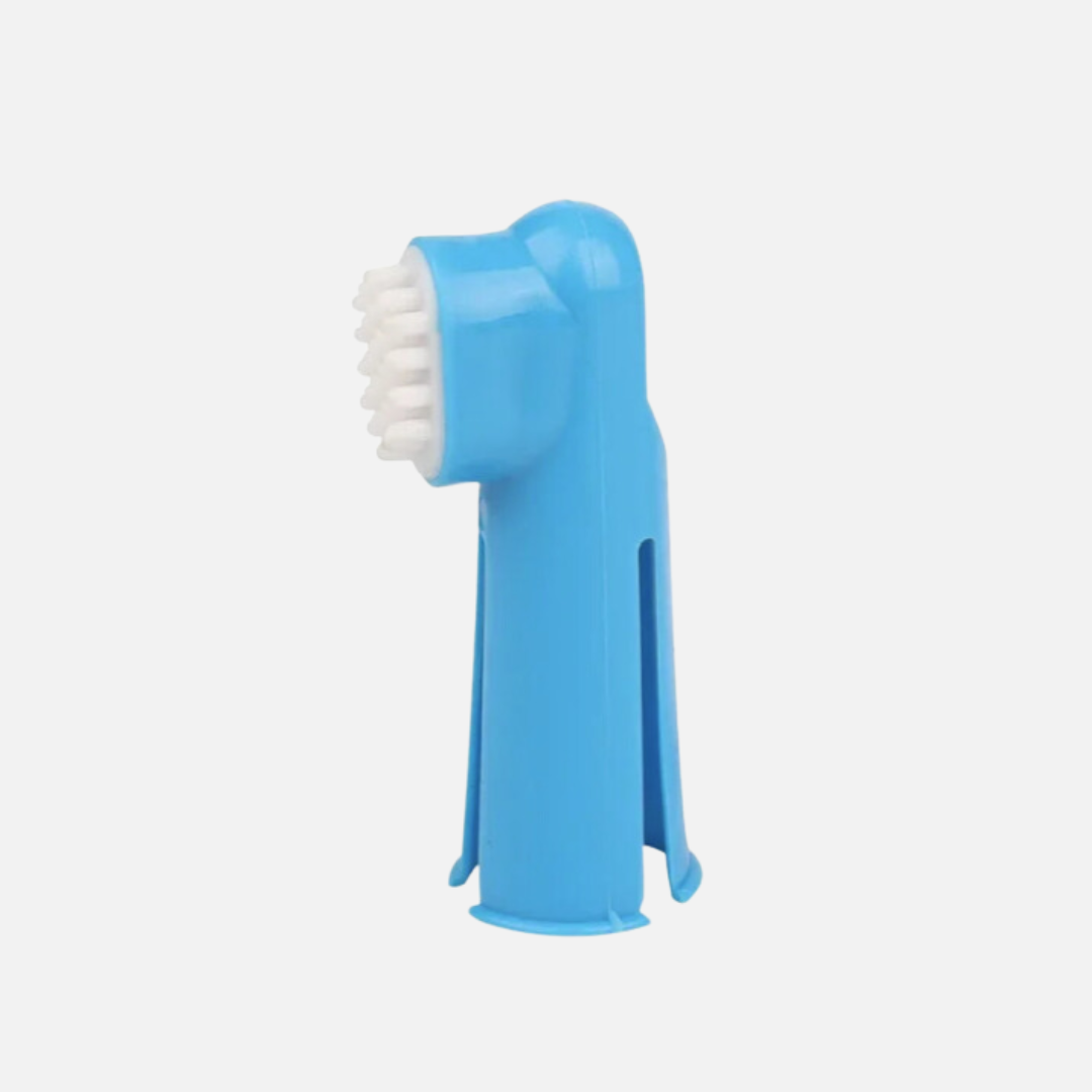 Brosse à dent pour chien