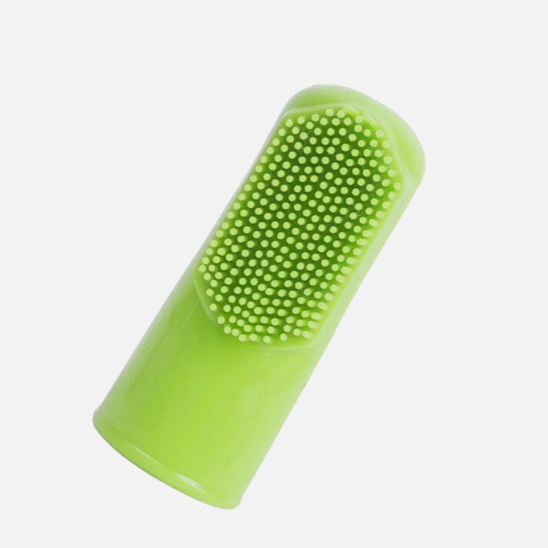 Brosse à dent pour chien