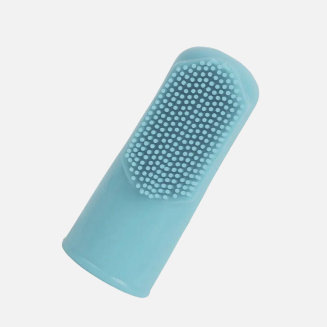 Brosse à dent pour chien