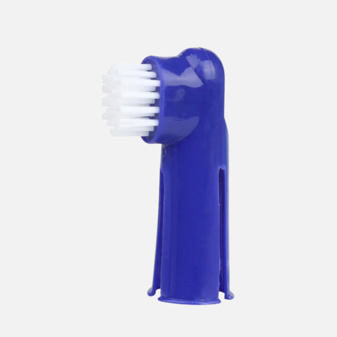 Brosse à dent pour chien