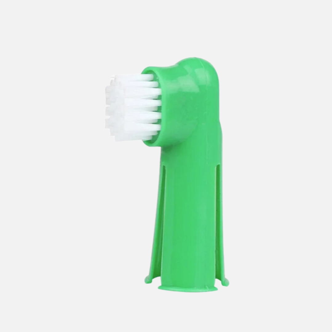 Brosse à dent pour chien