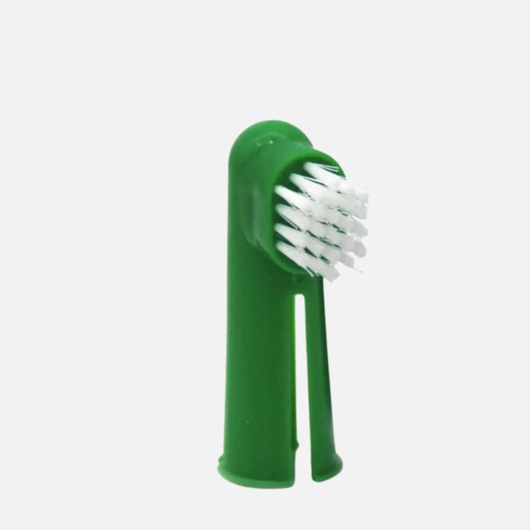 Brosse à dent pour chien