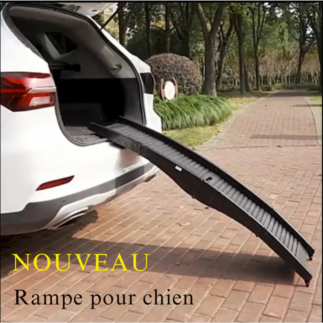 Rampe d'accès voiture pour chien