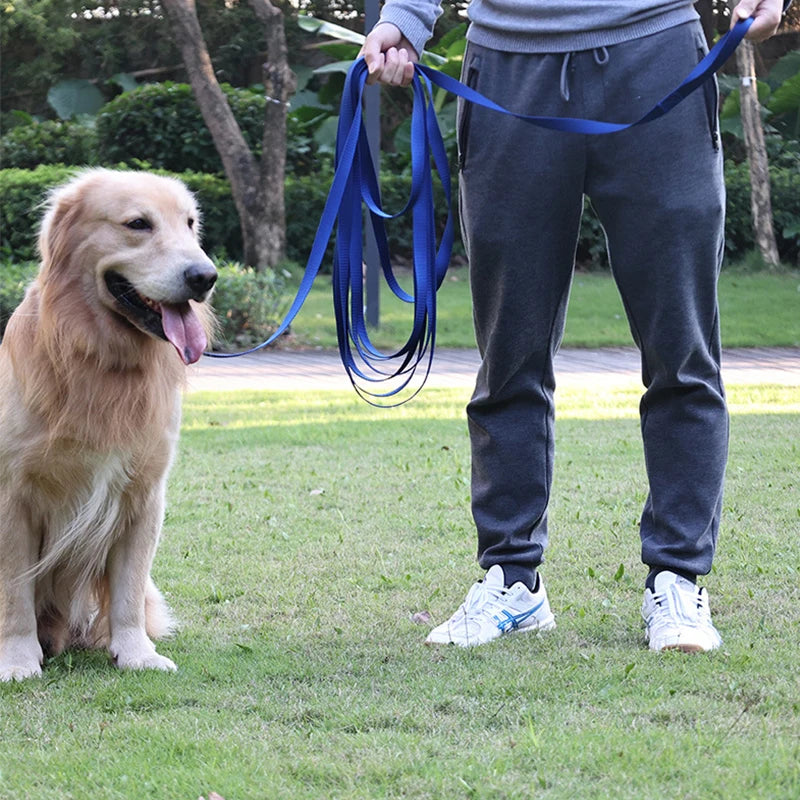 Longe de dressage pour chien