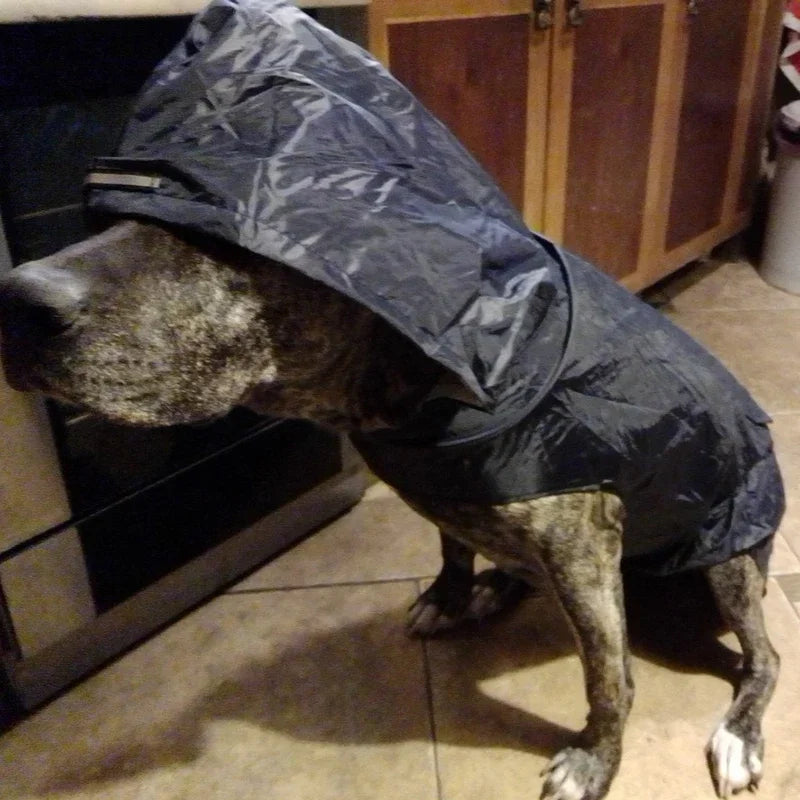 Imperméable  noir