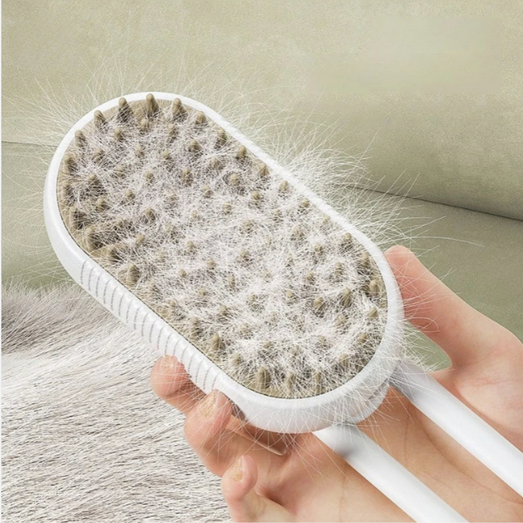 Brosse à vapeur pour chien