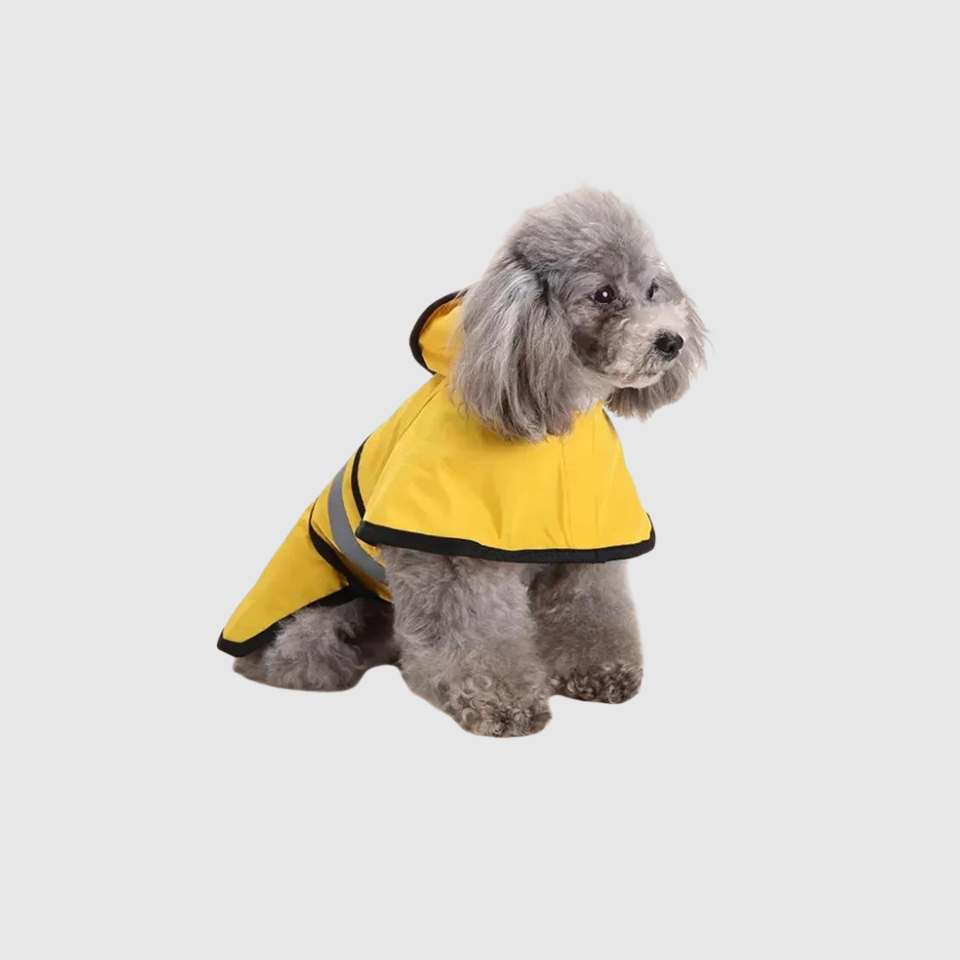 imperméable marin pour chien