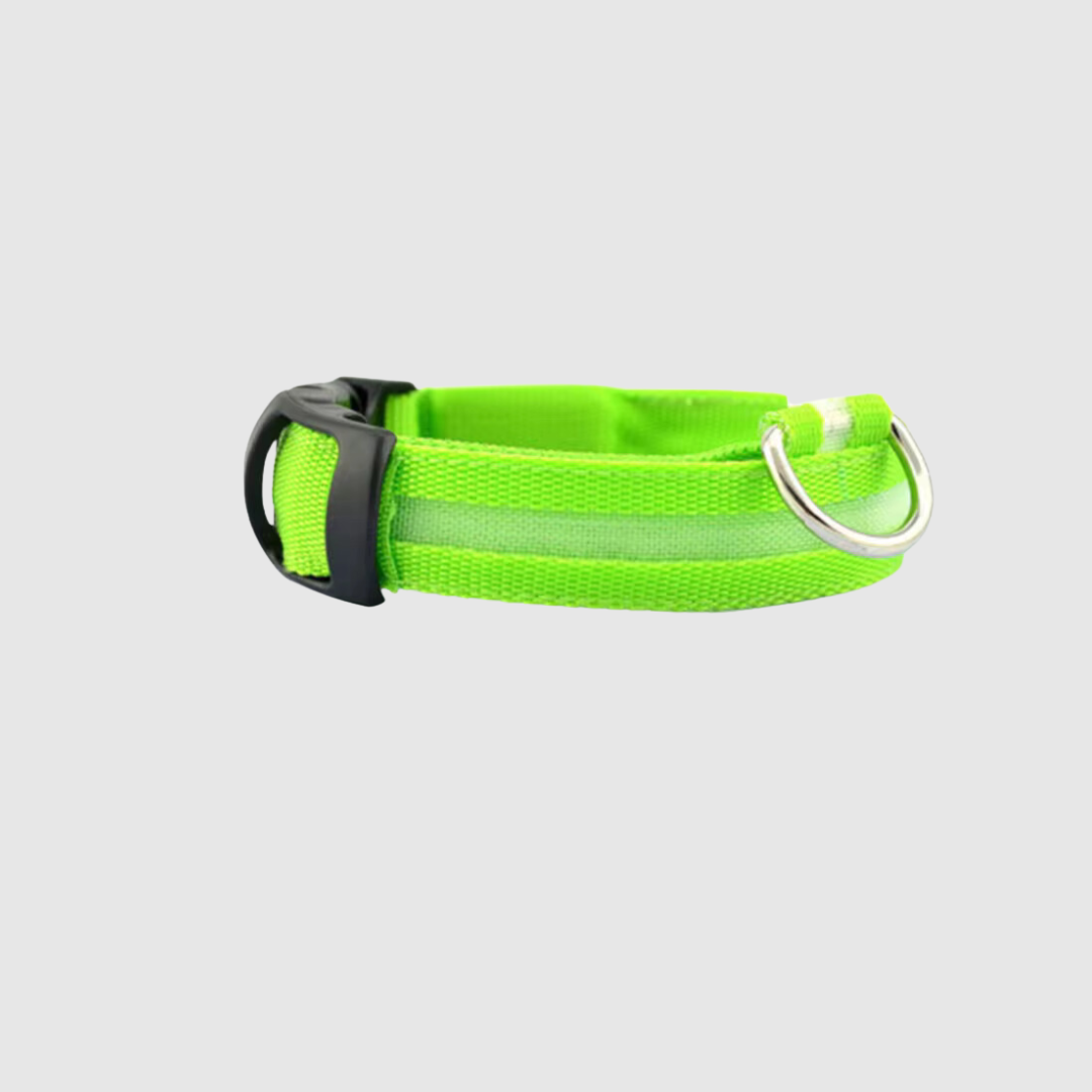 Collier à led pour chien vert