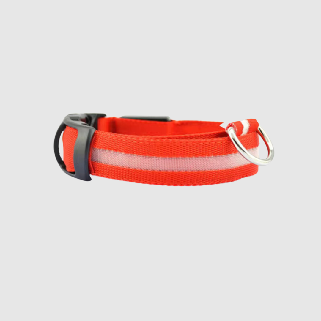 Collier à led pour chien rouge