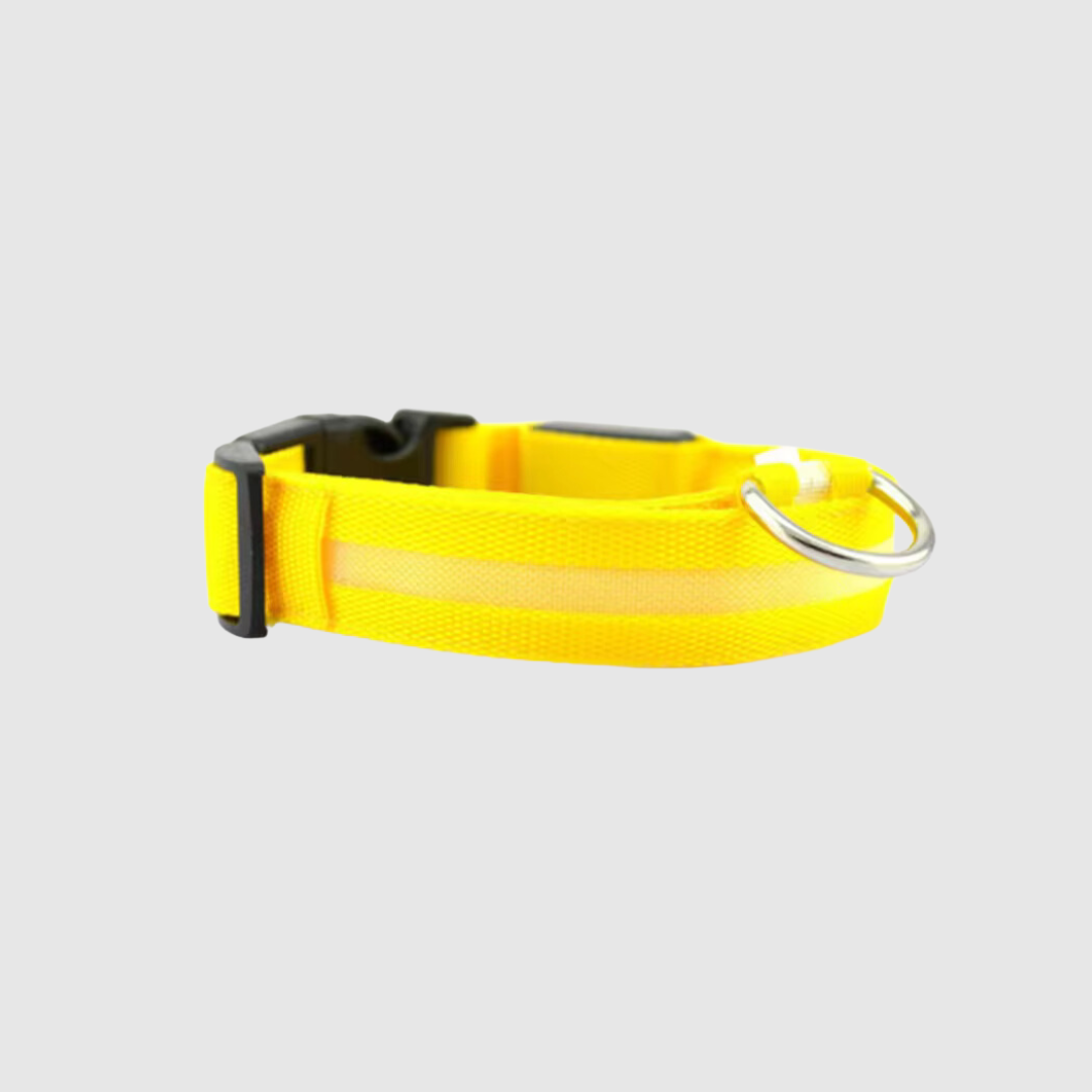 Collier à led pour chien jaune