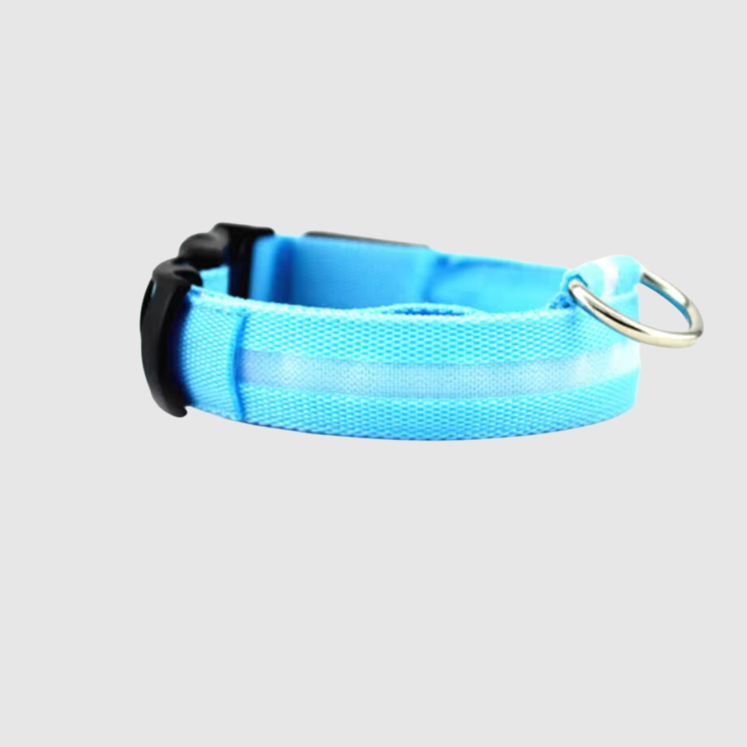 Collier à led pour chien bleu