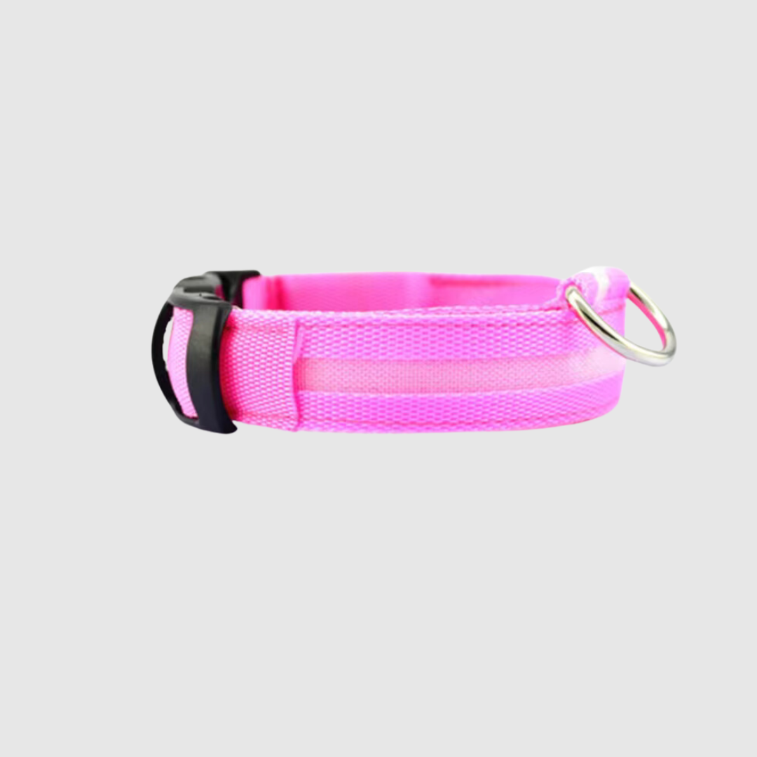 Collier à led pour chien rose