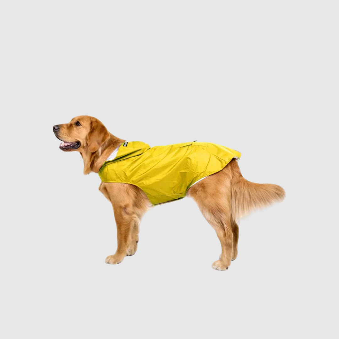 Imperméable  jaune