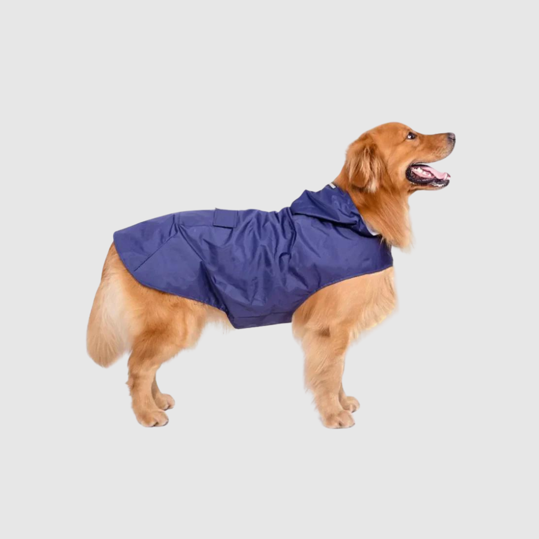 Imperméable  bleu