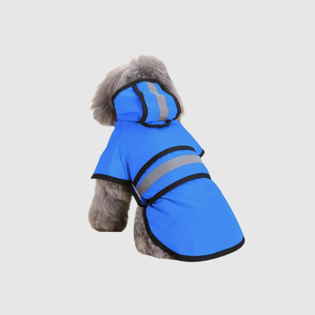 imperméable bleu  marin pour chien