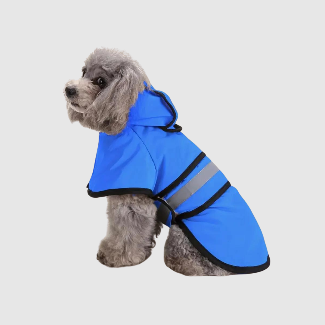 imperméable marin pour chien